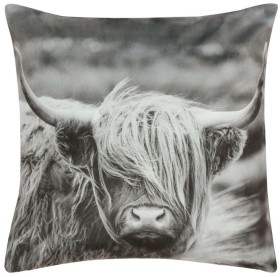 Brampton-House-Highland-Cow-Photo-Real-Cushion on sale