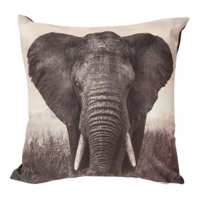 Brampton-House-Kenya-Photo-Real-Cushion on sale