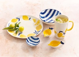 Stevens+Citrus+Serveware