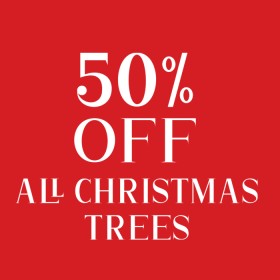 50%25+off+All+Christmas+Trees