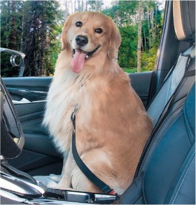 Maxi+Trac+Seat+Belt+Pet+Tether