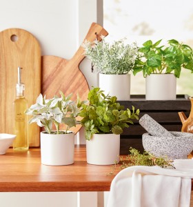 30-off-Greenery on sale