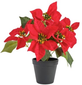 Jolly+%26amp%3B+Joy+Poinsettia+in+Planter+Pot+22.86+x+29.2cm