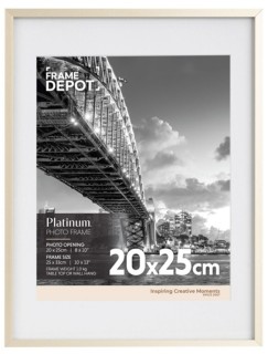 Platinum+Photo+Frame+20+x+25cm