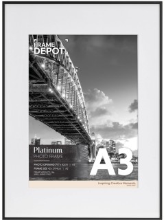 Platinum+Photo+Frame+A2%2FA3