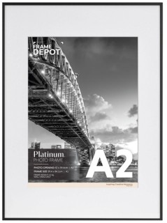 Platinum-Photo-Frame-A1A2 on sale