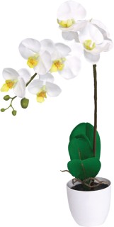 55cm-Artificial-Orchid on sale