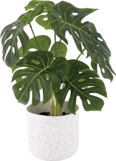 UN-REAL-35cm-Artificial-Monstera on sale