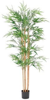 Emerald+Hill+Bamboo+180cm+Artificial+Jumbo+Plant