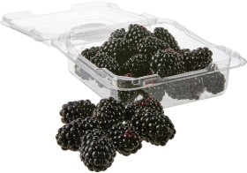 Blackberries-125g on sale