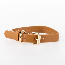 bbb-Pets-Harley-Dog-Collar-Rust on sale