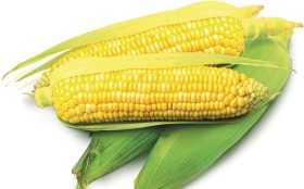 Sweetcorn