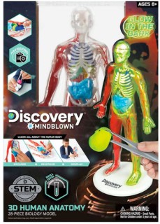 Discovery-Mindblown-Human-Anatomy-Kit on sale