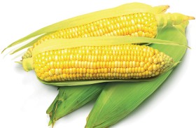 Sweetcorn on sale