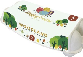 Woodland+Free+Range+Size+7+Eggs+10+Pack