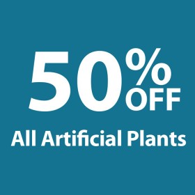 50-off-All-Artificial-Plants on sale