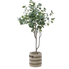 130cm-Silver-Dollar-Tree on sale