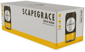 Scapegrace+Rtd+Range+5%25+10+x+330ml+Cans