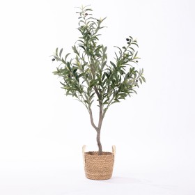 Olive-Tree-120cm on sale