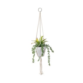 Hanging-Plant on sale