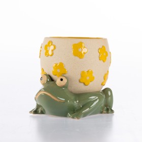 Costa-Frog-Planter on sale