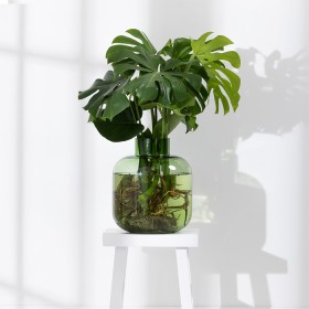 Harlow-Large-Glass-Vase on sale