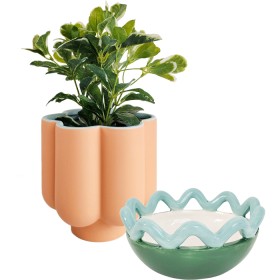 Planter-Bowl on sale