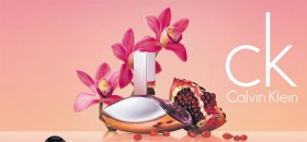 Calvin+Klein+Euphoria+EDP+100ml