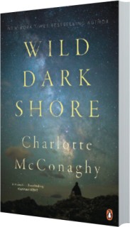 Wild-Dark-Shore on sale