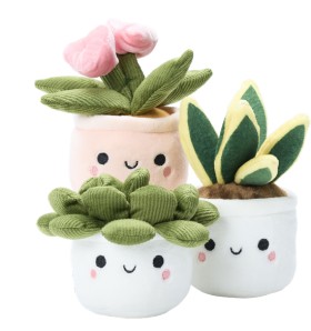 Keel-Plush-Plants on sale