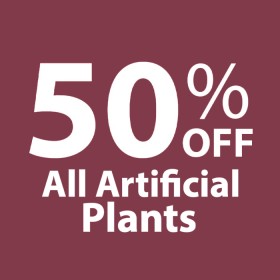 50%25+off+All+Artificial+Plants