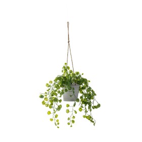 Hanging+Vine+Plant