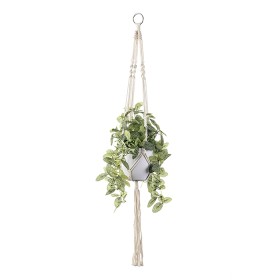 Hanging+Plant
