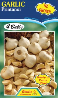 %26rsquo%3BPrintanor%26rsquo%3B+Garlic+Bulbs+Pack+of+4