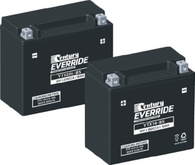 10%25+off+Century+Sports+Batteries
