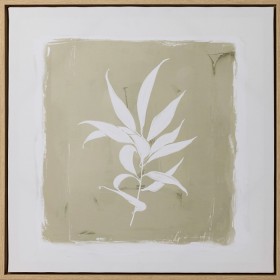 Botannica-Framed-50x50cm on sale