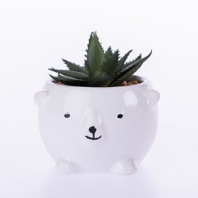 Everlasting+Succulent+In+Ceramic+Animal+Pot