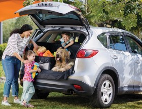 20%25+off+Cabin+Crew+Organisers+%26amp%3B+Travel+Accessories