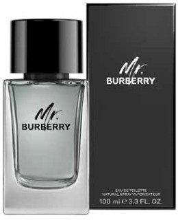 Burberry+Mr.+Burberry+%28M%29+EDT+100ml+DE
