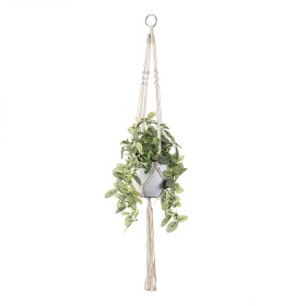 Hanging+Greenery+Plant
