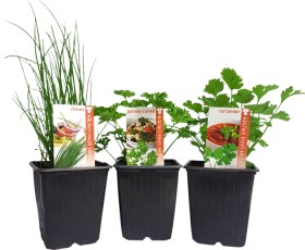 Asstd-Herbs on sale