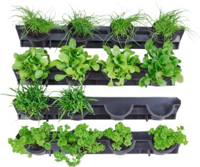 Holman-GreenWall-Vertical-Garden on sale