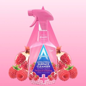 Astonish+Antibacterial+Cleanser+750ml