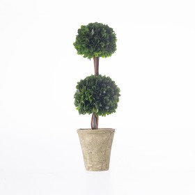 Everlasting+Mateus+Topiary+Double+Ball