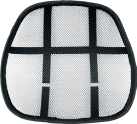 NEW-Journey-Mate-Mesh-Lumbar-Support-Cushion on sale