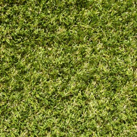 Artificial-Grass on sale