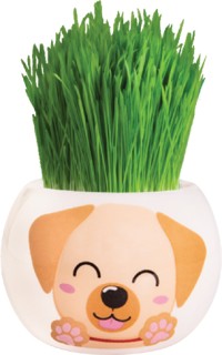 Mr+Fothergill%26%23039%3Bs+%26rsquo%3BLabrador+Puppy%26rsquo%3B+Grass+Hair+Kit