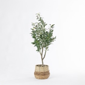 Artificial-Sita-Olive-Tree on sale