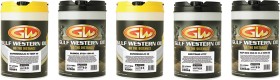 25%25+off+SELECTED+Gulf+Western+BULK+20L+FLUIDS%5E