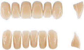 Vita-Physiodens-Anterior-Teeth-Set-of-6 on sale